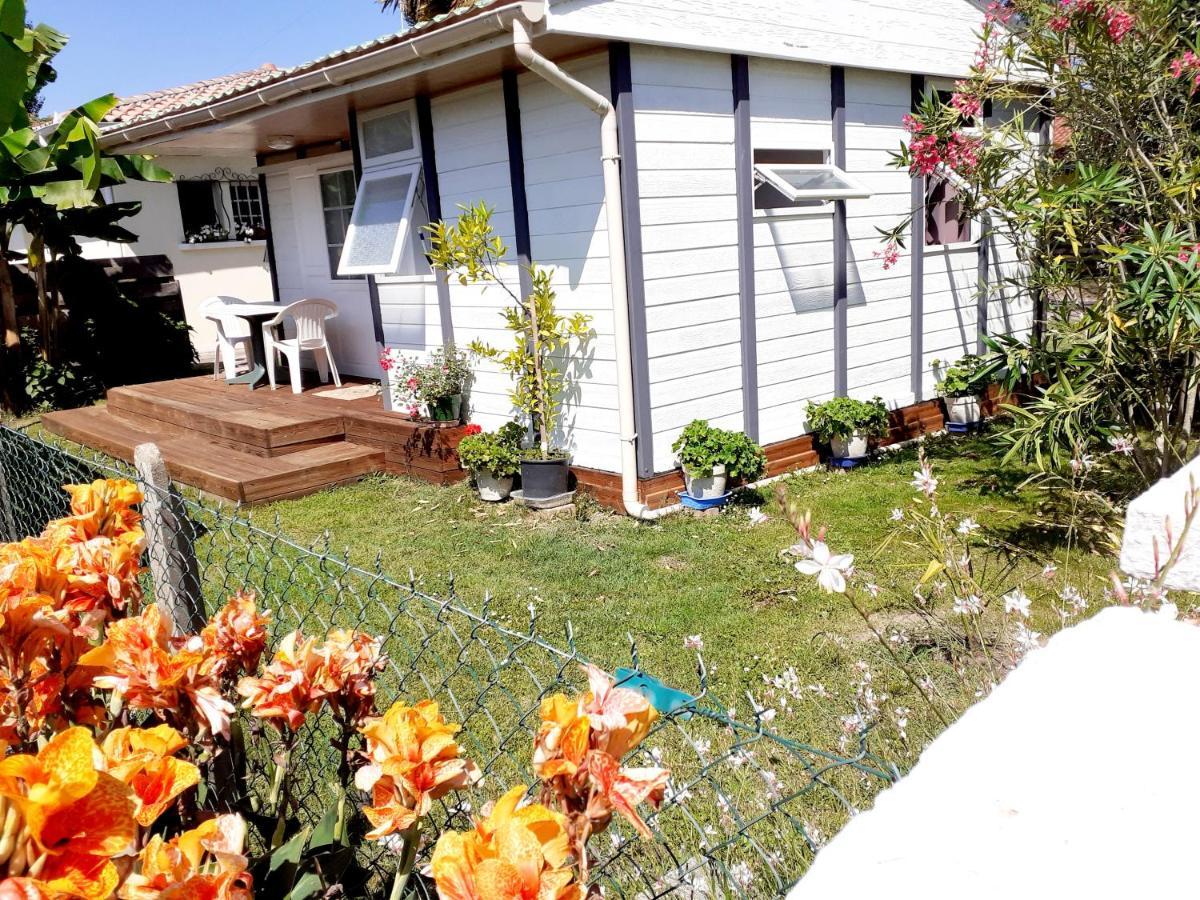 Chalet Narrosse Zewnętrze zdjęcie